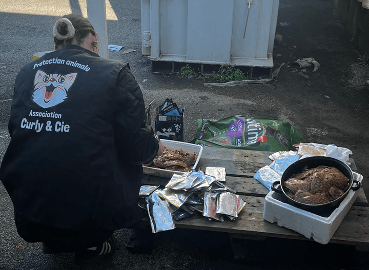Ravitaillement d'une cantine pour chats libres