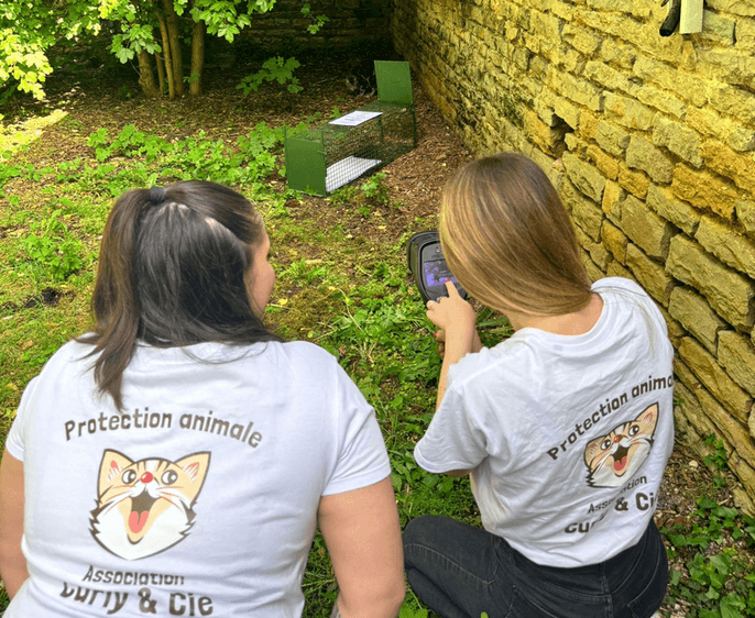 Trappe pour chat libre en cours d'utilisation