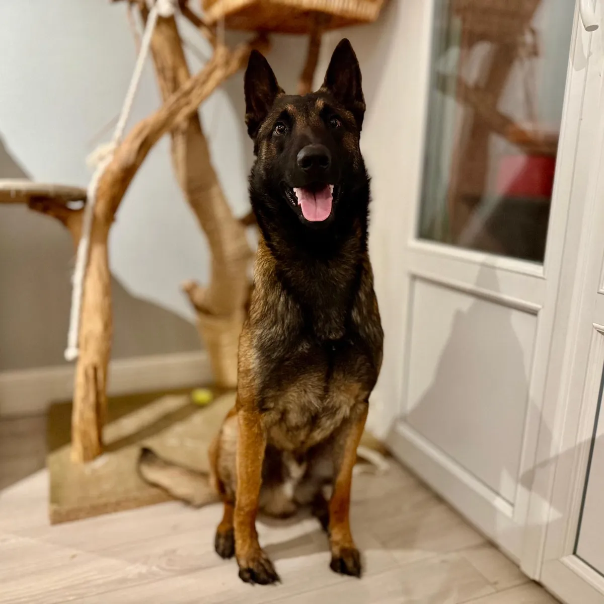 DJANGO