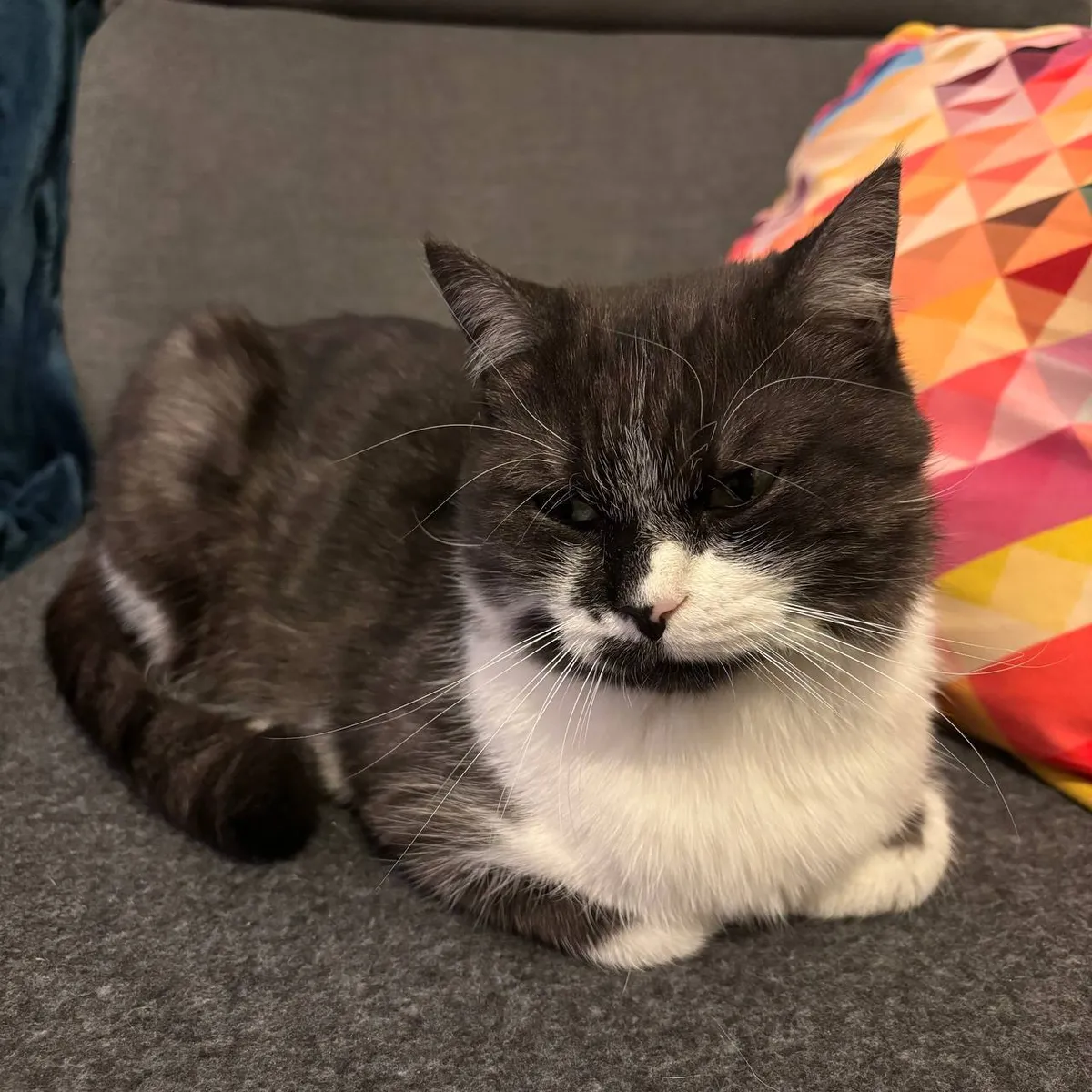 PACO