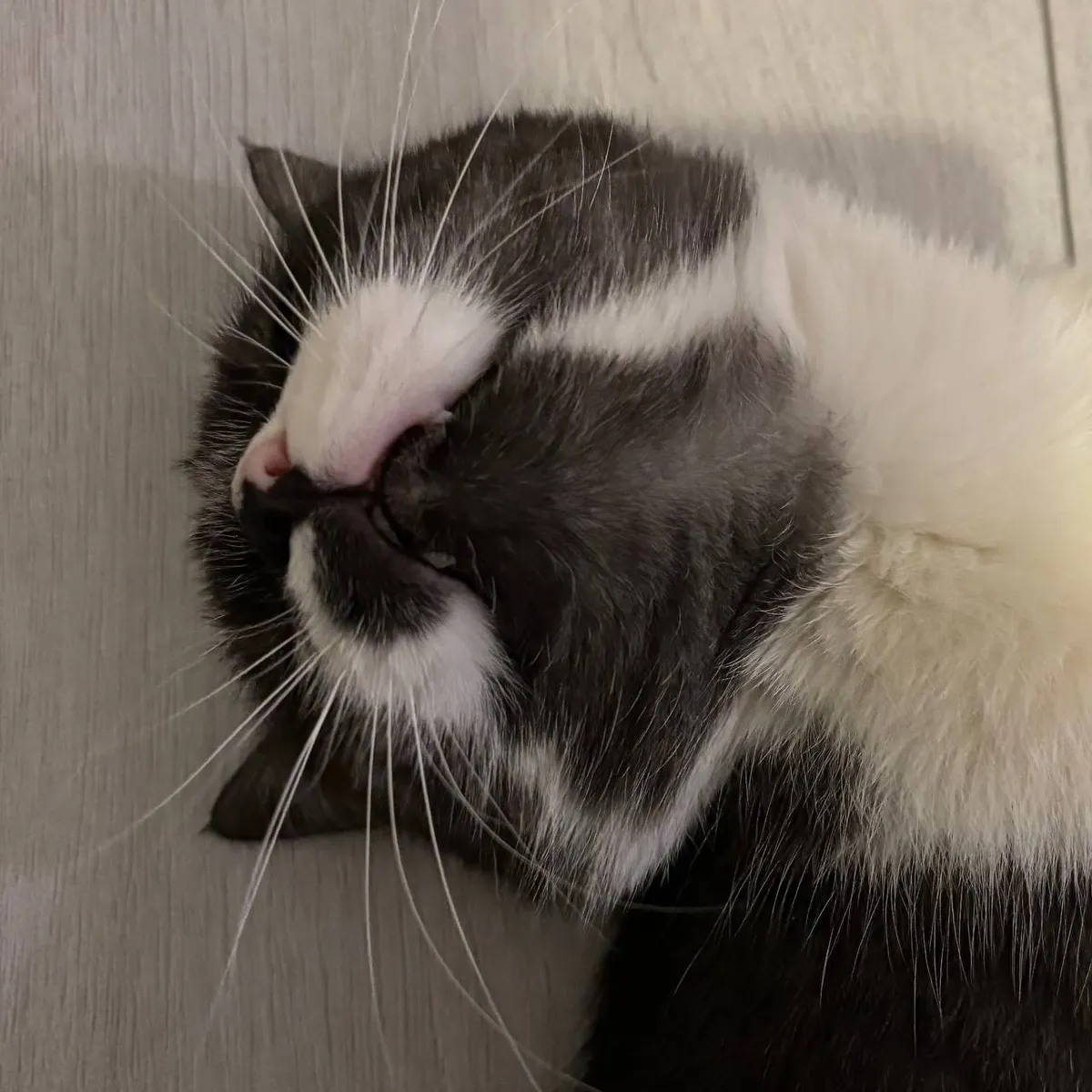 PACO