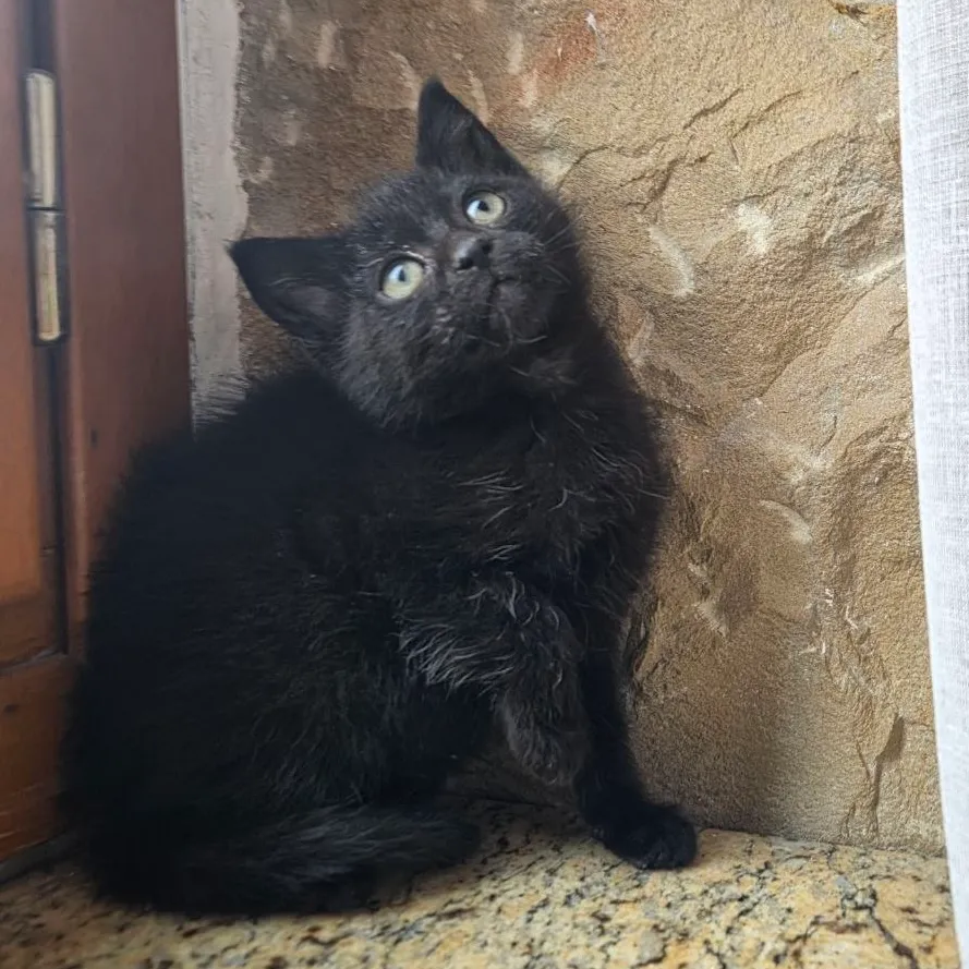 JIJI & HAKU