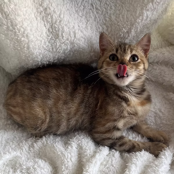Mia