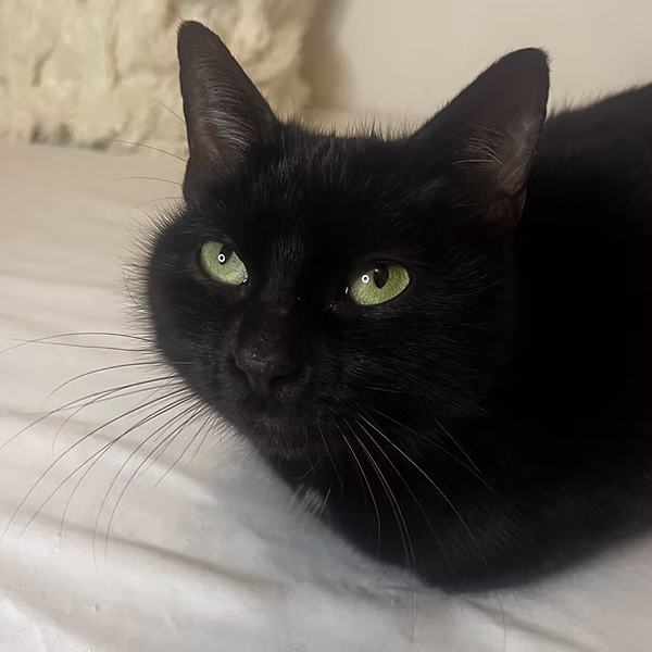 Mochie
